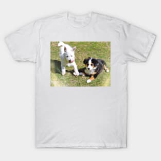 Puppy Friends T-Shirt